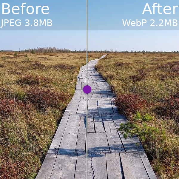 A boardwalk photo on the left, and the same photo saved as another file type on the right.